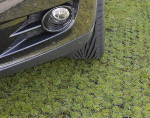 Griglia salvaprato - PROGRASS - Ritter GmbH