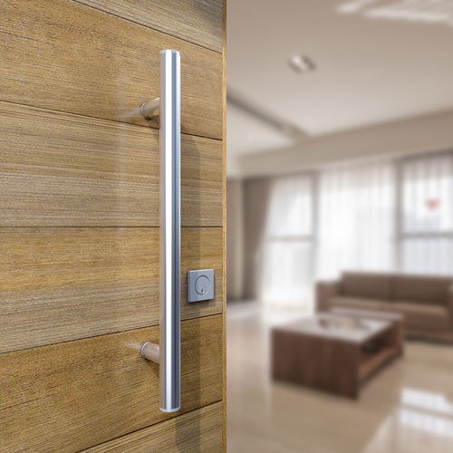 Maniglia a tirante per porta - INOX-100 / 316 SATINE - Panidis SA - in acciaio inossidabile / contemporanea / per uso residenziale