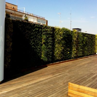Parete vegetale di piante viventi - PRIVATE PENTHOUSE - Paisajismo Urbano - in pannelli modulari / naturale / da giardino