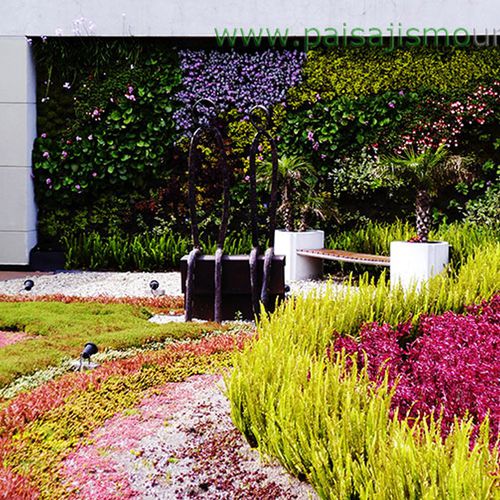 Parete vegetale stabilizzata - BIOMAX  - Paisajismo Urbano - in pannelli modulari / naturale / in lichene