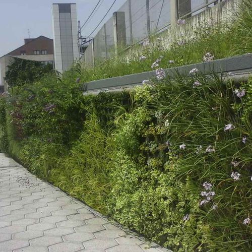 Parete vegetale di piante viventi - BERANGO, BIZKAIA - Paisajismo Urbano - in pannelli modulari / naturale / da giardino