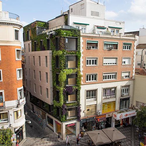 Parete vegetale stabilizzata - MONTERA STREET - MADRID - Paisajismo Urbano - in pannelli modulari / naturale / da giardino