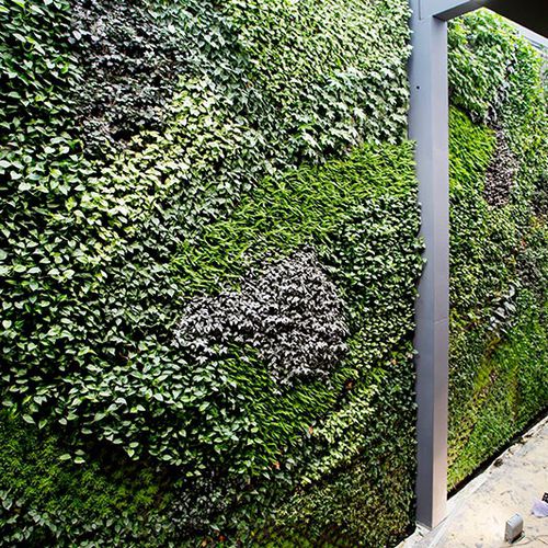 Parete vegetale stabilizzata - VERTICAL EN ALCORCÓN - SEAFOOD RESTAURANT - Paisajismo Urbano - in pannelli modulari / naturale / da interno