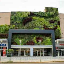 Parete vegetale di piante viventi - BOLIVIA - LAS BRISAS MALL - Paisajismo Urbano - in pannelli modulari / naturale / in lichene