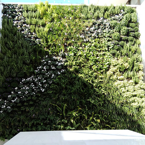 Parete vegetale di piante viventi - GREECE - MAKEDONIA PALACE - Paisajismo Urbano - in pannelli modulari / naturale / floreale