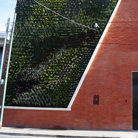 Parete vegetale di piante viventi - EBENEZER - Paisajismo Urbano - in pannelli modulari / naturale / floreale