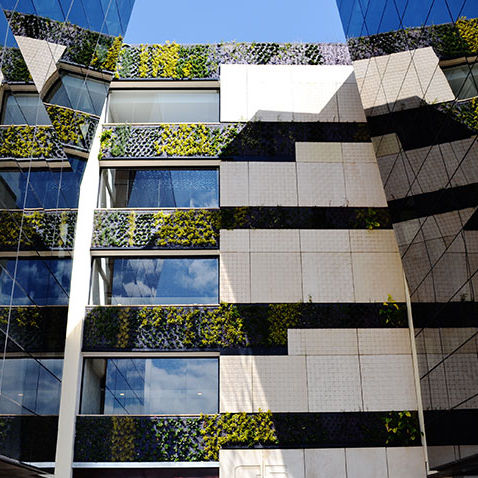 Parete vegetale stabilizzata - CONNECTA G4-G5 BUSINESS PARK BUILDING - Paisajismo Urbano - di piante viventi / in pannelli modulari / naturale