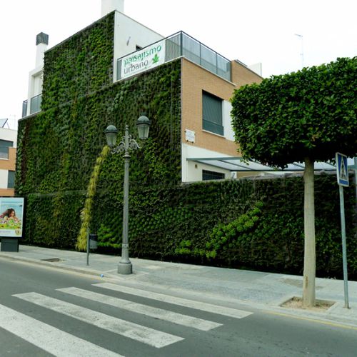 Parete vegetale di piante viventi - VALENCIA - Paisajismo Urbano - in pannelli modulari / naturale / in muschio