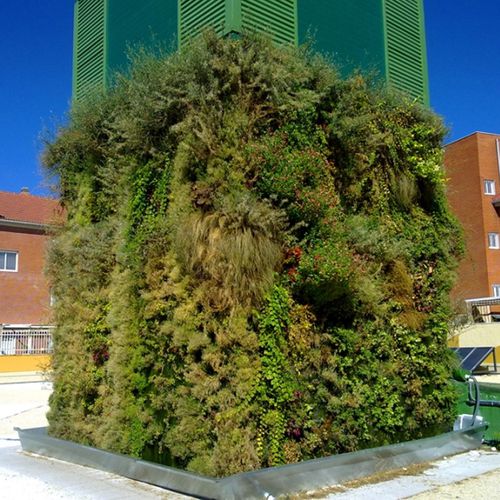 Parete vegetale stabilizzata - VEGETAL COVER IN GETAFE, MADRID - Paisajismo Urbano - di piante viventi / in pannelli modulari / a colonna