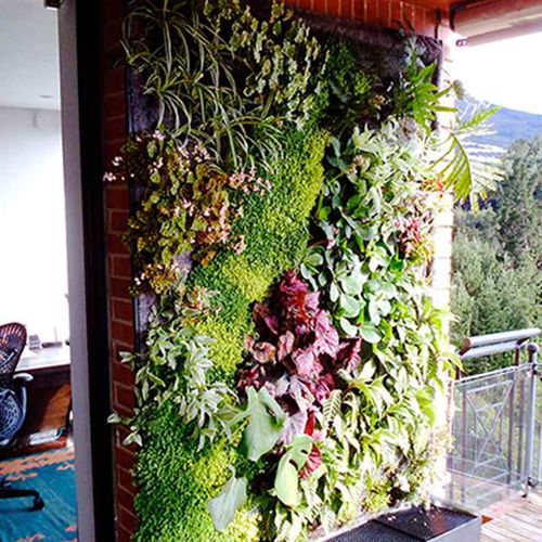 Parete vegetale di piante viventi - COLOMBIA – PRIVATE HOUSE, BOGOTÁ - Paisajismo Urbano - in pannelli modulari / naturale / floreale