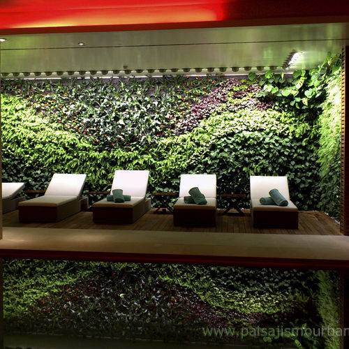 Parete vegetale di piante viventi - CASTELL SON CLARET HOTEL - Paisajismo Urbano - in pannelli modulari / naturale / da interno