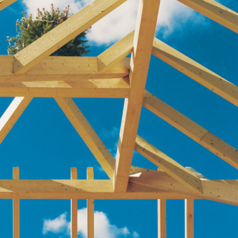 Ossatura per tetto in legno - ante-Gruppe