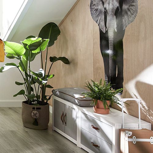 Cuscino per panca - 7066 - LIFETIME Kidsrooms - rettangolare / a tinta unita / per uso residenziale