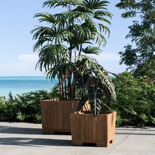 Fioriera in teak - BOTANIQ   - Royal Botania - quadrata / contemporanea / beige