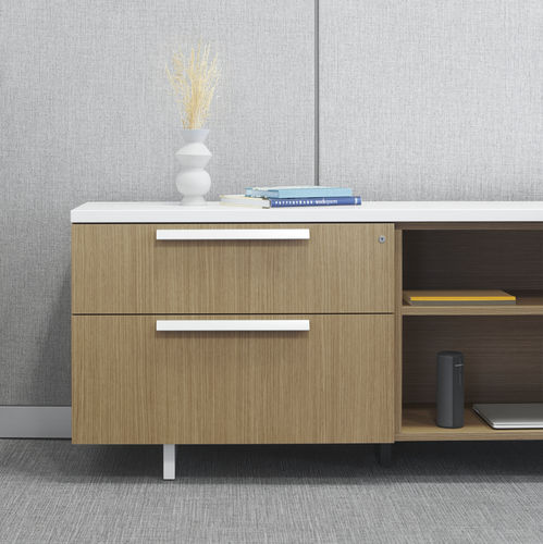 Contenitori portaoggetti in laminato - APPROACH - Allsteel - per cassetti