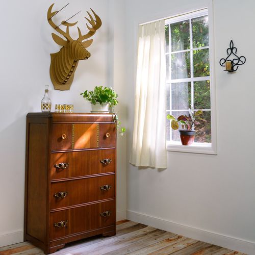 Scultura in cartone - BUCKY DEER HEAD - cardboard safari - da parete