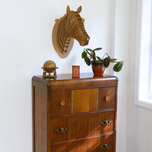 Scultura in cartone - PIPPIN HORSE HEAD - cardboard safari - da parete