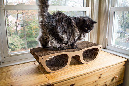 Scultura in cartone - HIP GLASSES CAT SCRATCHER - cardboard safari