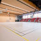 pavimentazione sportiva da internoLUMAFLEX ENERGY LINOSPORT XF&sup2;Tarkett Sports Indoor