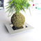 sostegno per piante in acciaioIT8903dESIGNoBJECT