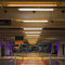 luce LED RGBWACTiTube40S RGBWACTiLED Lighting
