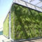 parete vegetale da esternoSOPRANATURE&reg; VIVAGREEN&reg;SOPREMA