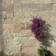 paramento in pietra naturale / per esterni / decorativo