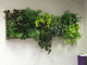 parete vegetale di piante viventi / su misura / naturale / in fogliame