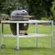barbecue a carbonella / professionale / con rotelle / in ghisa