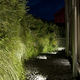 parete vegetale stabilizzata / naturale / floreale / da esterno