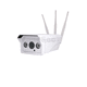 camera di sicurezza IP / non incassata / da esterno / a infrarossi