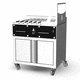 grill a carbonella / a pavimento / per cucina professionale / in acciaio inox