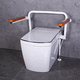 WC elettronico / da appoggio / in ceramica / professionale