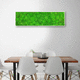 quadro vegetale stabilizzato / in muschio / naturale / da interno