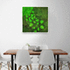 quadro vegetale stabilizzato / in muschio / naturale / da interno