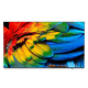 TV smart / ultra HD / a telaio / LED