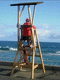 sedia contemporanea / da interno / da spiaggia / in legno