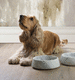 scodella per cane in marmo / in marmo di Carrara / grigia / Made in Italy
