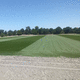 prato in rotoli / per campo sportivo / drenante / rinforzato