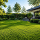 prato naturale / a semi / per giardino / per campo sportivo