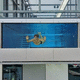 pannello acrilico / per piscina / per finestra subacquea / in PMMA