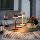 lampada da tavolo / in alluminio / contemporanea / a batteria ricaricabile