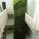parete vegetale stabilizzata / a colonna / naturale / da interno