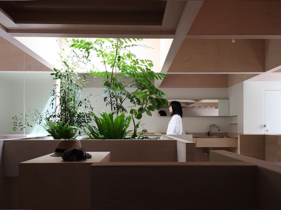 CASA IN HANEKITA DA KATSUTOSHI SASAKI + SOCI