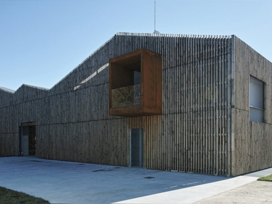 I bei filtri dalla busta del legno di faggio attaccano la BIO- cantina italiana moderna