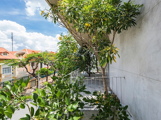 gli alberi sporgono con VTN casa “impilata” delle piantatrici degli architetti nel Vietnam