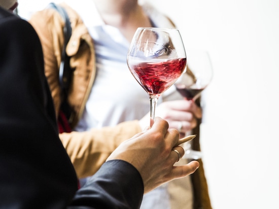 Il professionista di EuroCave sta celebrando il nuovo vino Antivari 2,0!