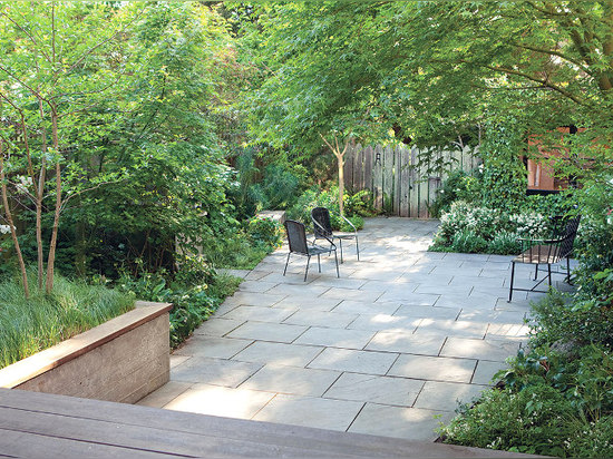 Questo ufficio fertile e verde del cortile è studio dell'artista di sogno nascosto in un giardino di San Francisco