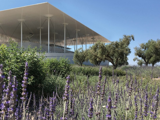 Di olivo e della lavanda sono la vegetazione mediterranea principale sul tetto del parcheggio. © H. Pangalou e architetti paesaggisti dei soci