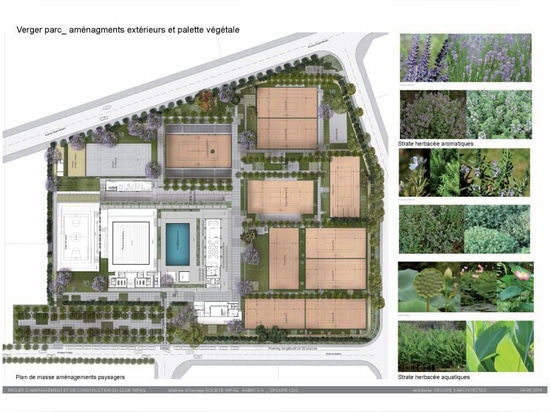 la pianta fertile nella società polisportiva del wifaq riflette il passato agricolo di Rabat, dai architectes groupe3